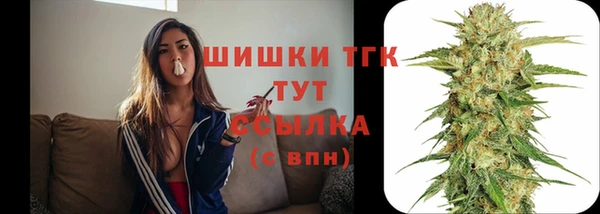 дживик Верея
