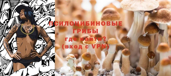 прущая мука Бородино