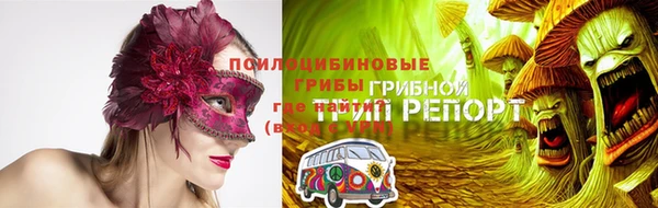 герыч Бронницы