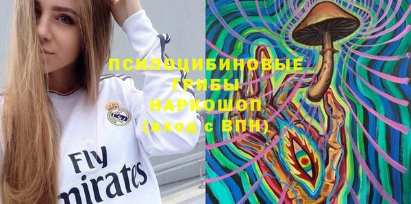 прущие грибы Богданович