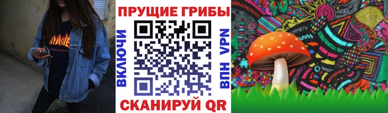 Галлюциногенные грибы Psilocybe  где купить наркотик  Гулькевичи 